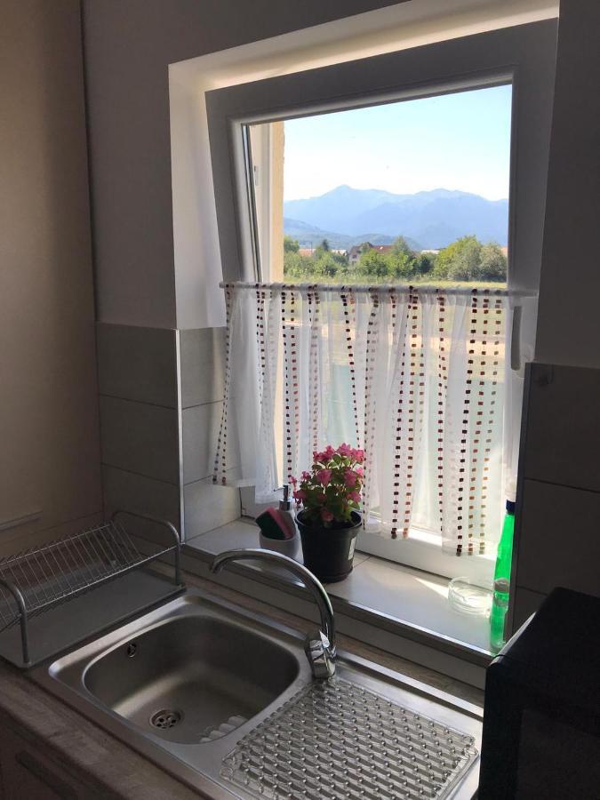Cazare Apartament Rasnov Râşnov Exterior photo